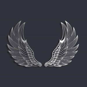 Metal Angel Wings 24x12" Metal Wall Art - new wrapped